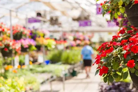 garden center